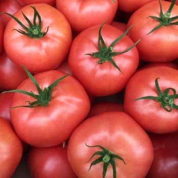 *Pomidor  / kg